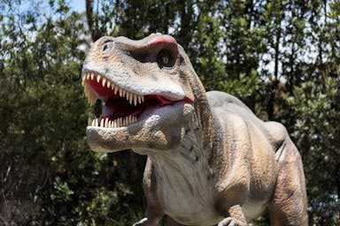 Exploring Scenic World’s Dinosaur Valley: A Real-Life Jurassic Adventure in the Blue Mountains